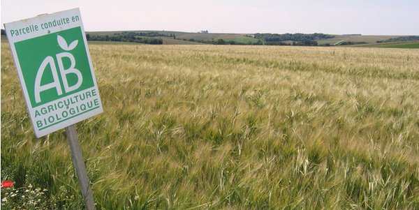 la_transition's tweet image. D&apos;ici 2050, 50% d&apos;agriculture bio en France, c&apos;est possible bit.ly/1OGoXGd #LaTransition #SIA2016