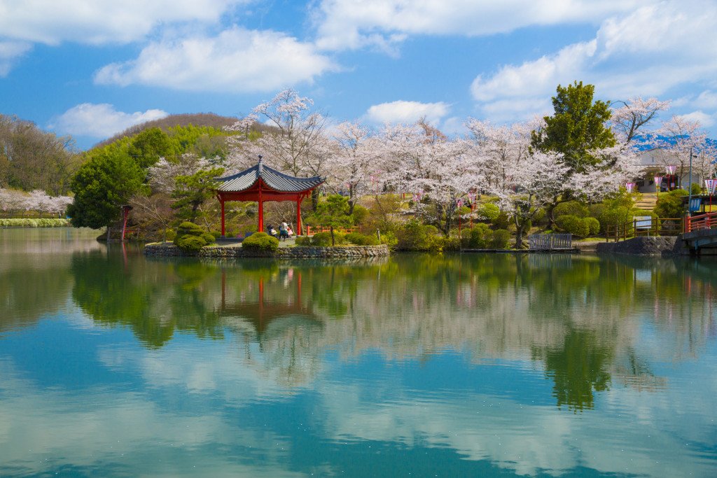 تويتر ニュースサイト Ovo オーヴォ 公式 على تويتر 庄原上野公園 Shobara Ueno Park 桜咲く庄原 T Co 4bqbosdifz お花見 上野公園 倉田百三 夜桜 広島県 庄原上野公園 瓢山古墳 絶景 T Co 3r5zyflxhc