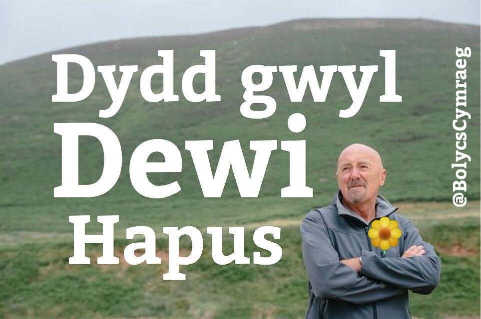 #DyddGwylDewi HAPUS 🌼🌼🌼 ift.tt/1OKHwsY