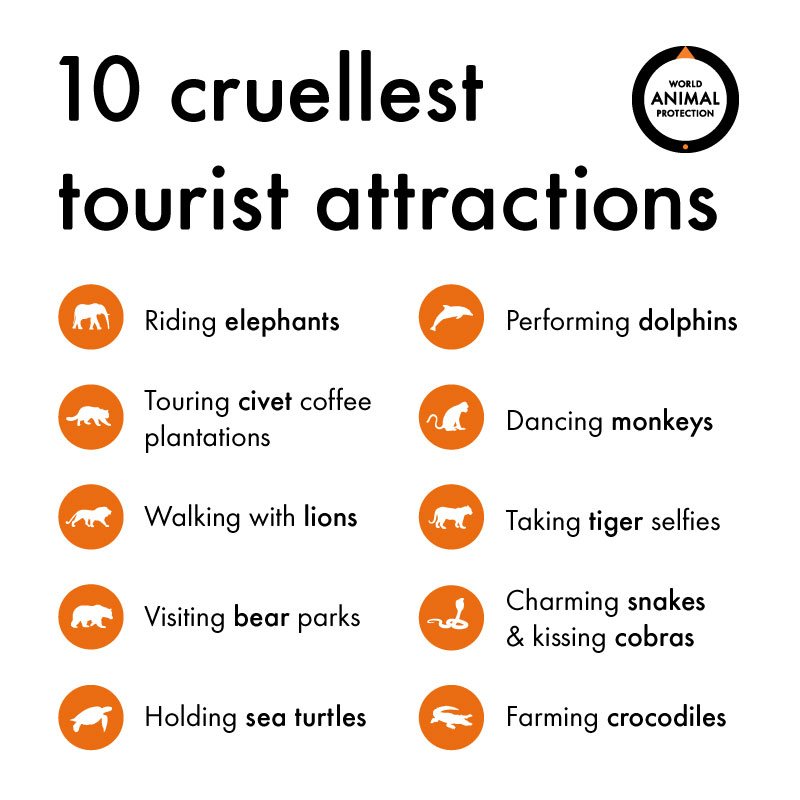 MoveTheWorldAU's tweet photo. If you're looking to see wildlife on your travels, make sure you avoid these 10 terrible tourist traps. https://t.co/wi1QeQ8j2Q