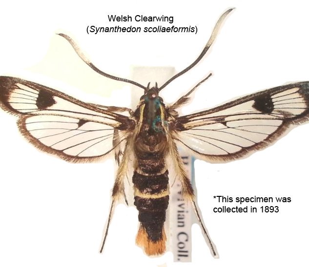 Liam Olds tweet media