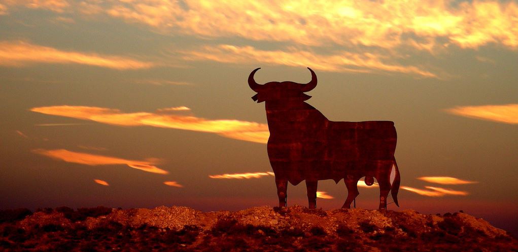 extradigital_es's tweet photo. Seis toros celebran en #Aragón su 60º aniversario como imagen de la #marca @Osborne_es… https://t.co/YZPQyAq6LF https://t.co/pDChMLbtL2