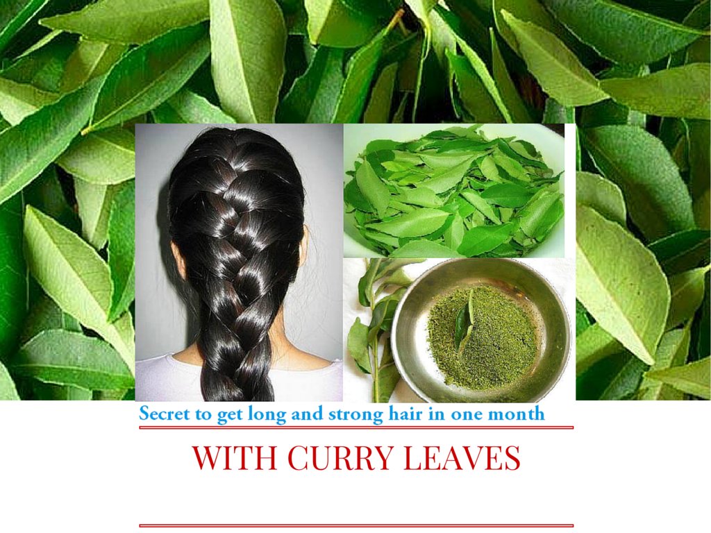 Curry leaves How To Buy Store  Use  Cook Click N Devour