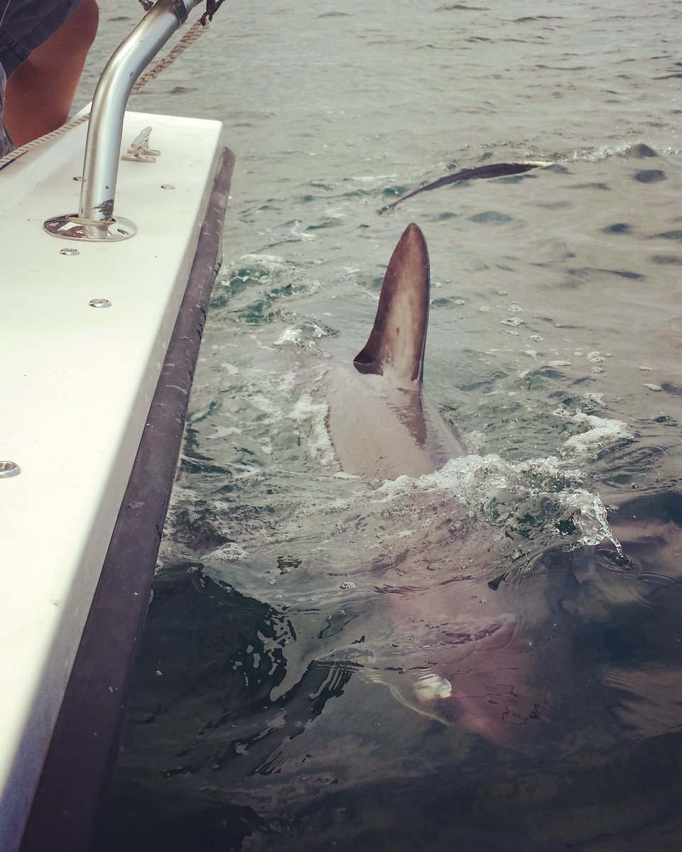 Jess Doughty tweet media