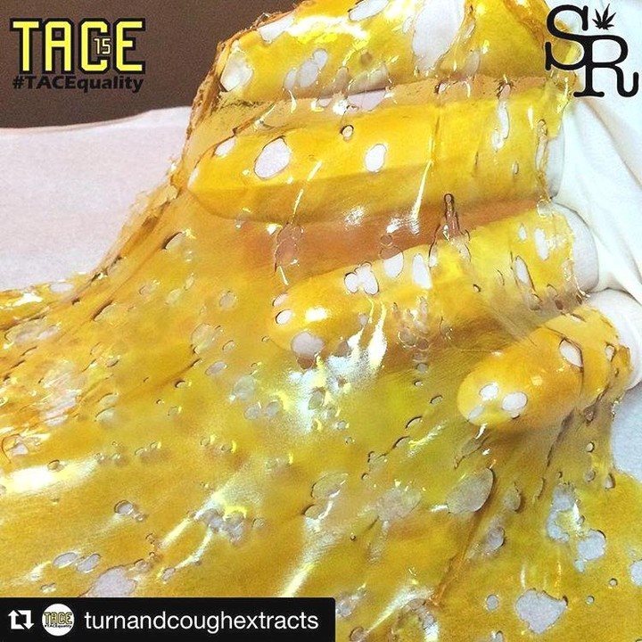 medihuana's tweet photo. a new photo taken by teamglobalnorth! Reposted from @stoneyranch 😏 😎😻 #cannabis #dabkitten… https://t.co/gL61NO3M2V https://t.co/oLhQ1ENzRq