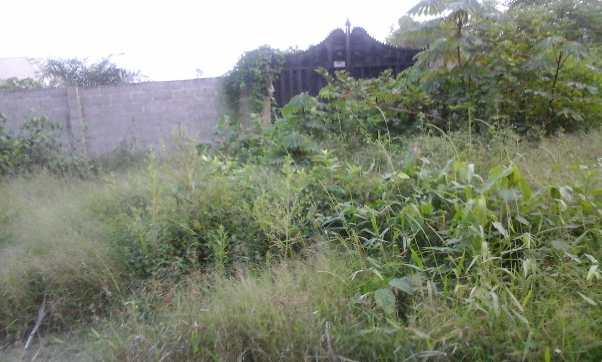 blessmerp's tweet photo. #Developedland in #NG, #Lagos, #LekkiLagos! https://t.co/W5trb9dKTH #MondProp https://t.co/zN1AhG0eyi