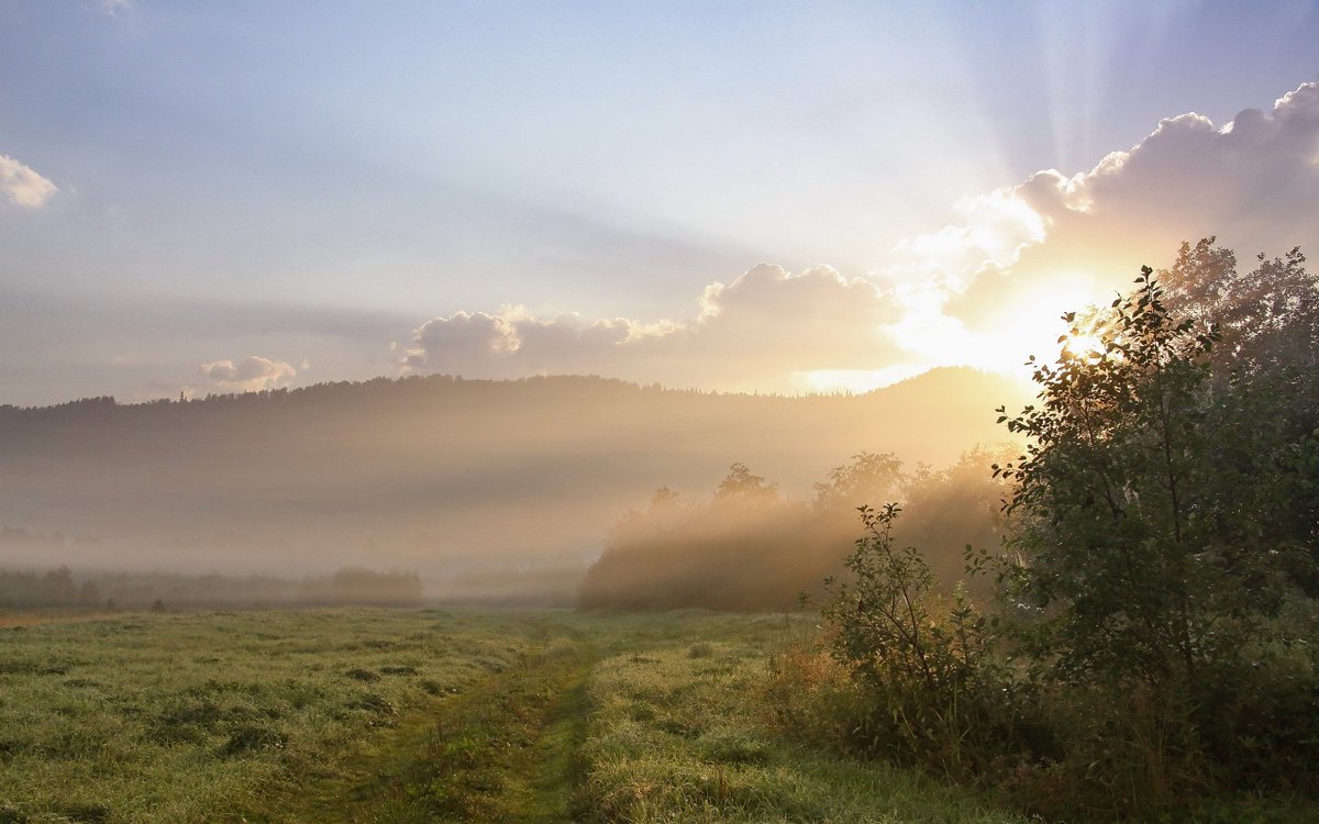 Good Morning from the Hosemaster team. <a href="/TheHosemaster64/">The Hosemaster</a> Hope you all have a lovely day! #morning #sun #rain #hose