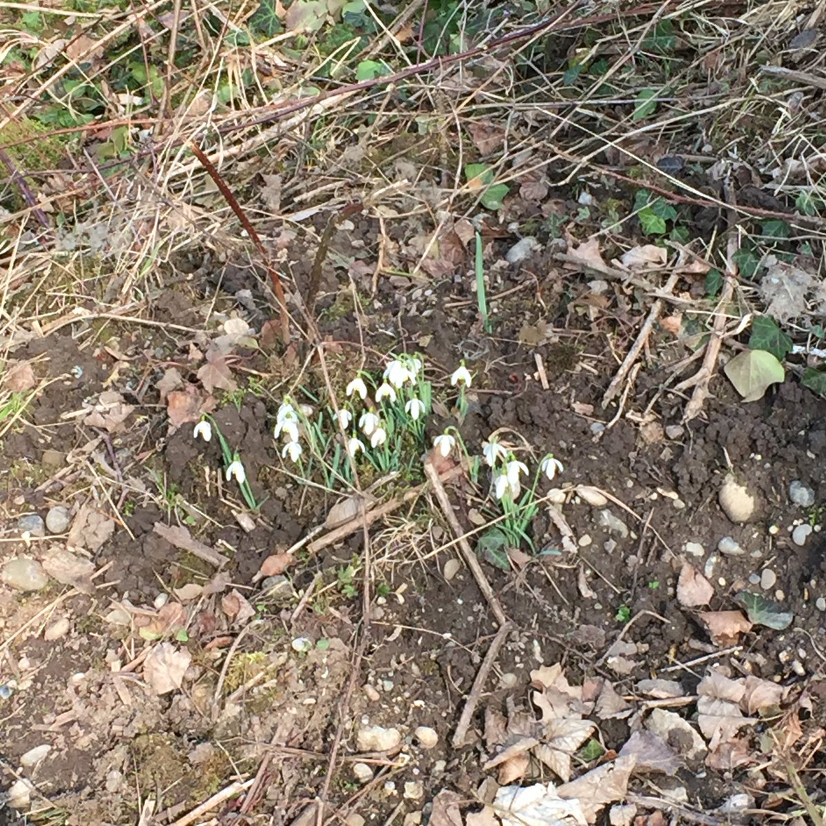 #Frühling bist du das? Wir freuen uns auf dich 😊 schönen Dienstag an Alle!!