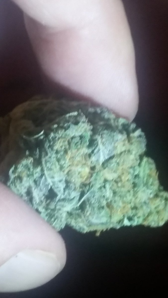 Me: Do you know Bubba?!?
You: Bubba who?!?
Me: Bubba-Kush!!😂🌱💚🌱😂
@boobsNweed <a href="/weed420_/">Mr. Weed</a> @MzJayne420 <a href="/420Humor/">420 Humor</a>