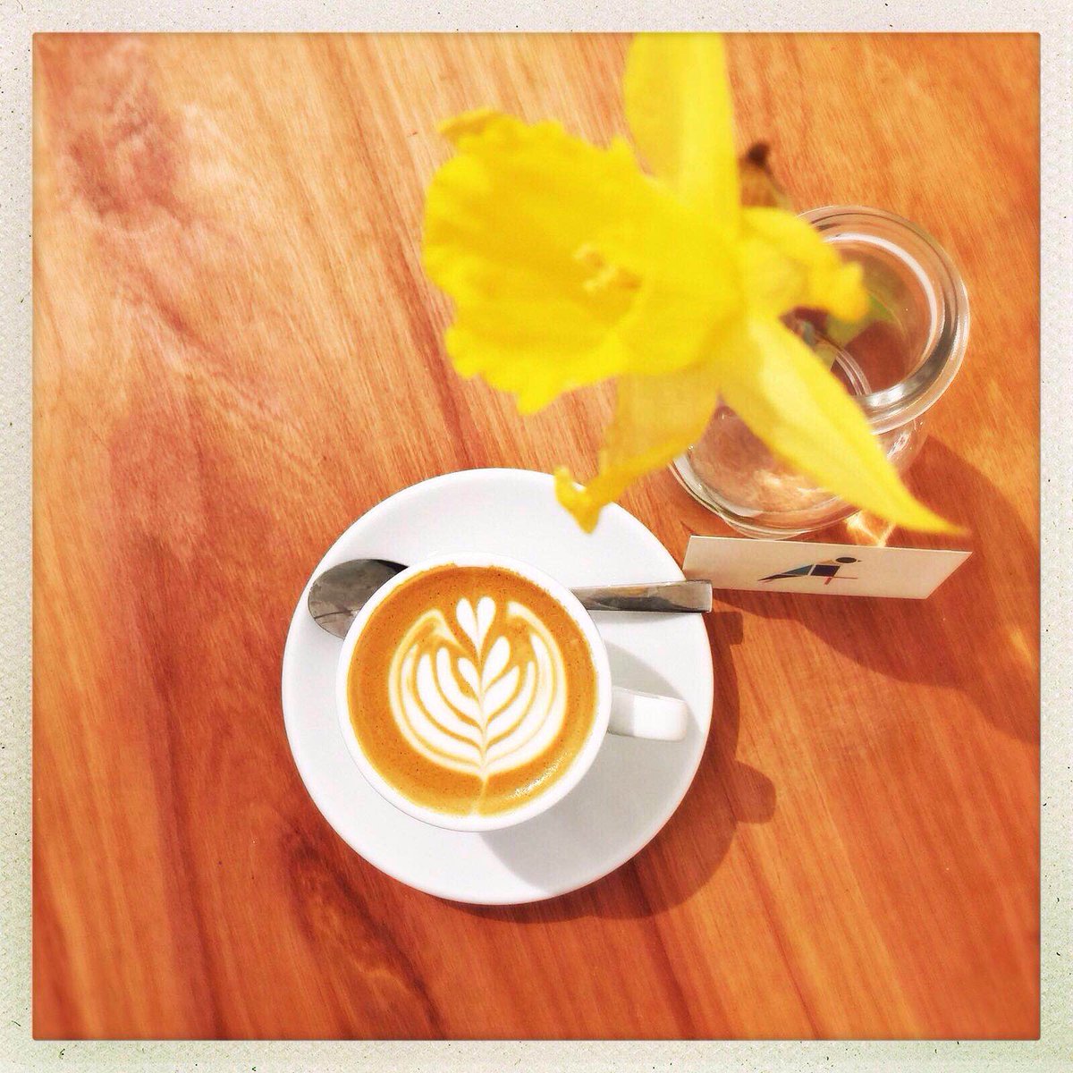 TheCanaryE2's tweet photo. Beautiful daffodils the canary #StDavidsDay #thekingscanary #dripapp
@TheKingsCanary @TheCanaryE2 @AllpressDalston https://t.co/GpxZezw5qU