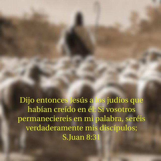gilsanpr's tweet photo. True disciples! https://t.co/NPxs9v8WTQ https://t.co/8cX6iSNkI0