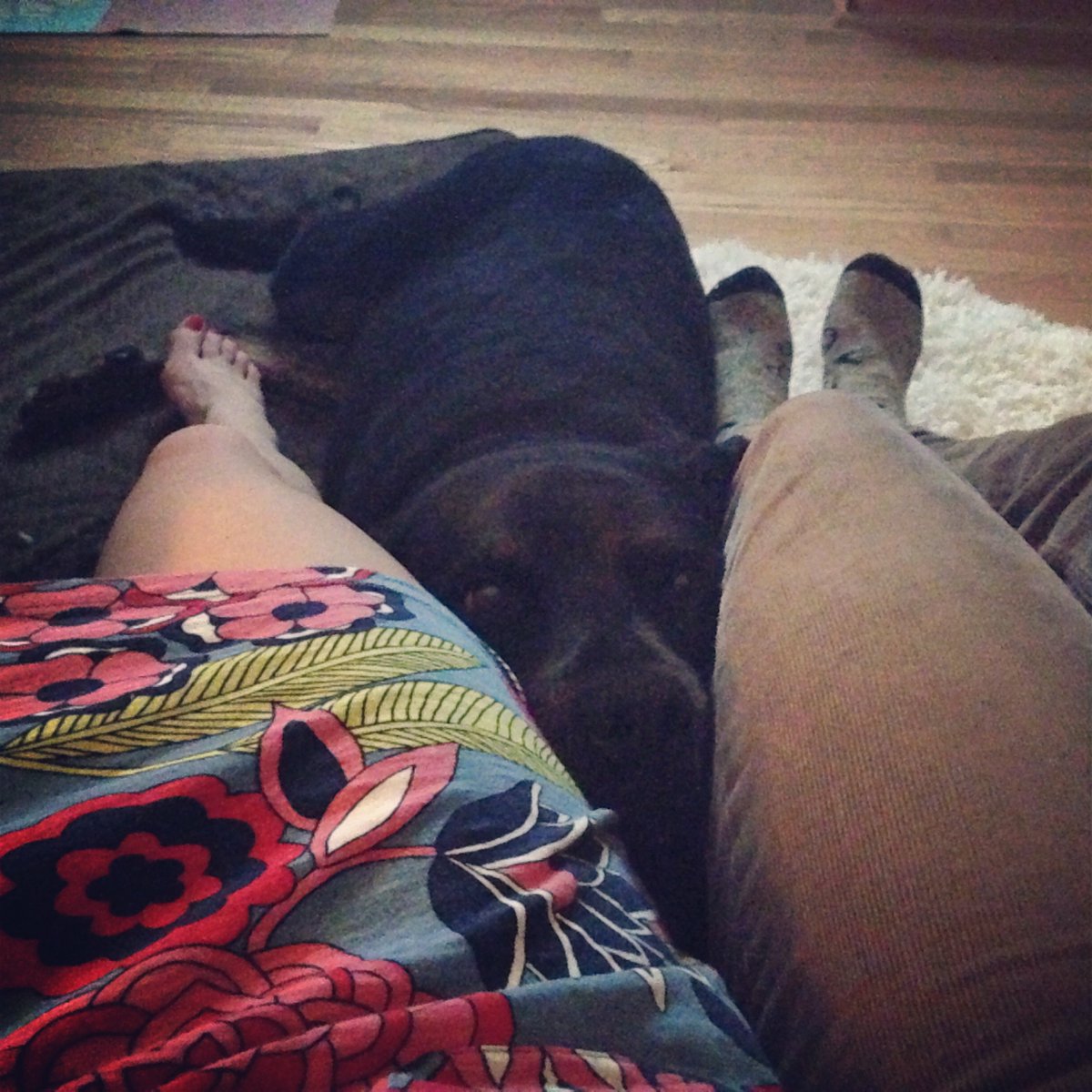 wordsofabby's tweet photo. Seems kinda dumb to make it more complicated than that, when it’s all right there for u to experience every day https://t.co/kmbMDjruvk