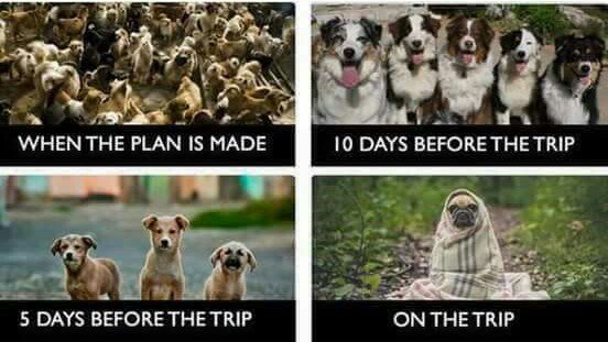 wkwkwk RT <a href="/yeahmahasiswa/">Yeahmahasiswa</a>: Reunian be like