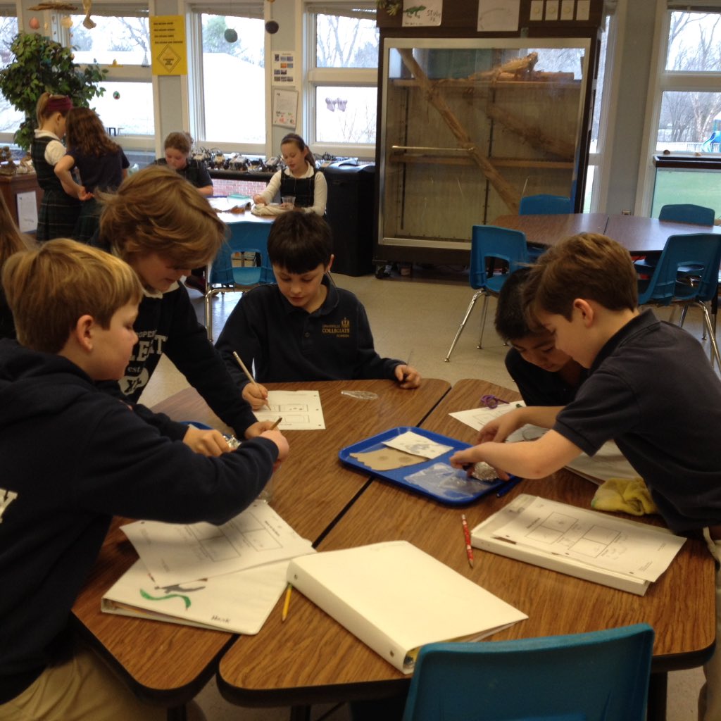 mdmartin53's tweet photo. Third graders working with properties of water comparing surface tension in plain, salty, and soapy water. https://t.co/g0vrJPCuHQ
