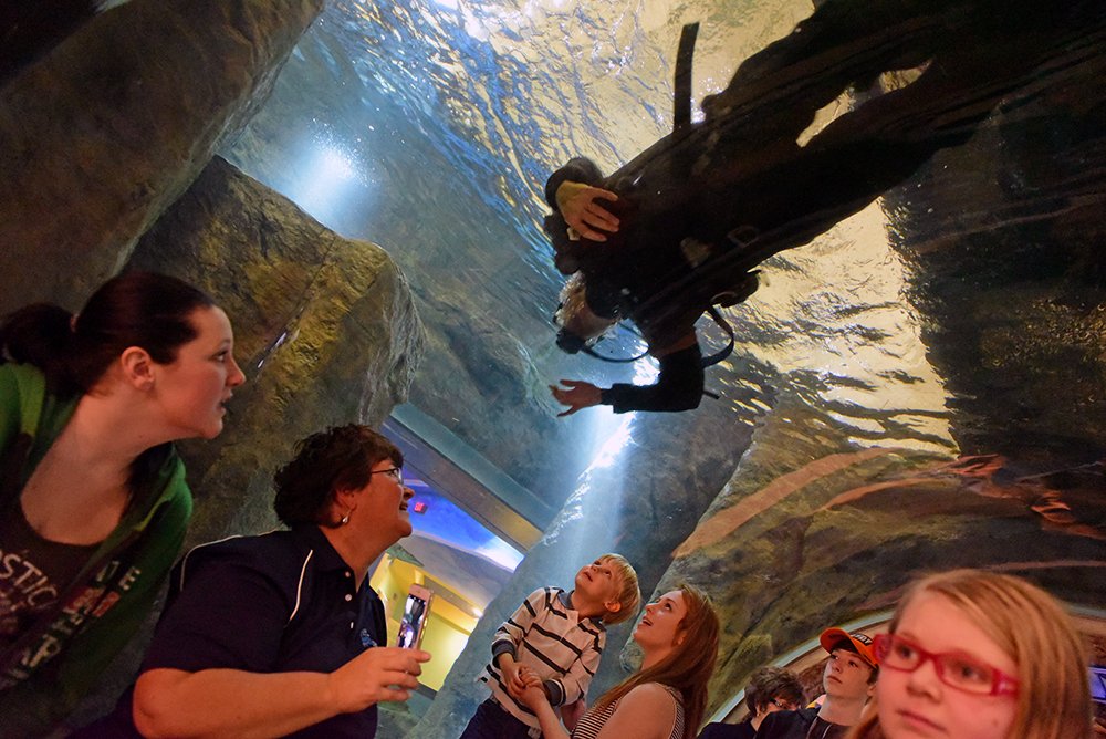 Congratulations to the <a href="/AQAquatarium/">Aquatarium</a> on its opening today! #1000islands #thousandislands #nature #aquarium