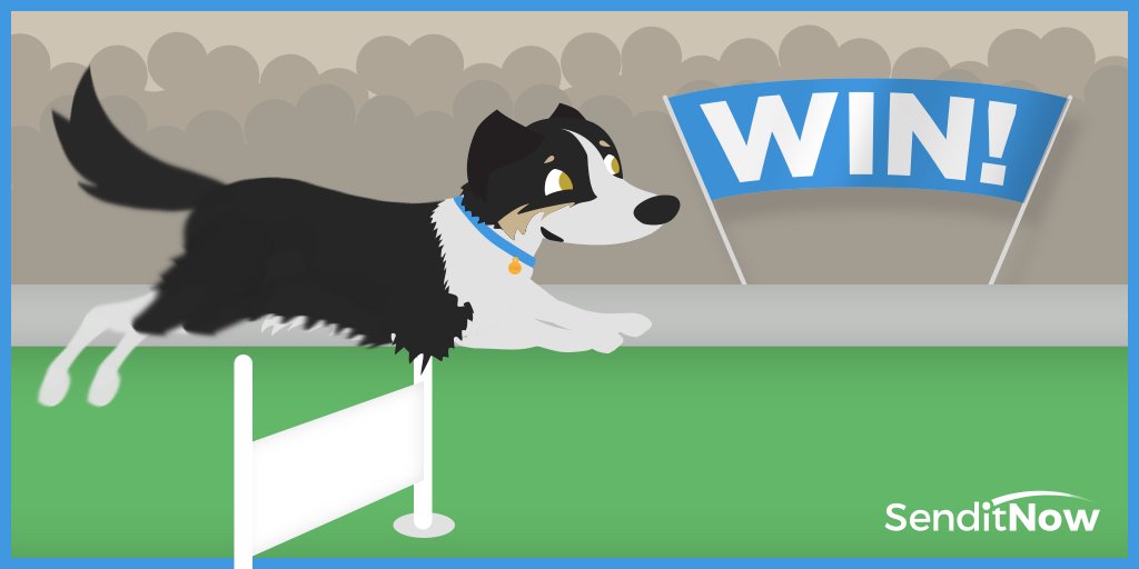 sendit_now's tweet photo. We have two tickets for #Crufts to give away! For the chance to win, just follow &amp; RT - we'll pick winners on Monday https://t.co/eBMfF7vqYG