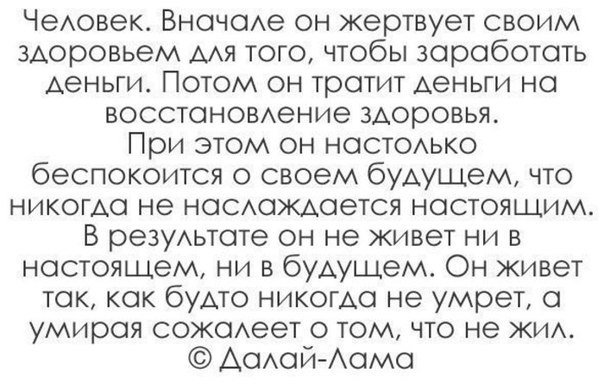 bib722 tweet picture