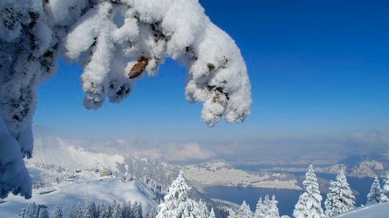 IL_Switzerland's tweet photo. After a spring-like February the winter is back now with snow and icy-cold temperatures! #Sweitzerland #Winter2016 https://t.co/tYaKv6WCRg