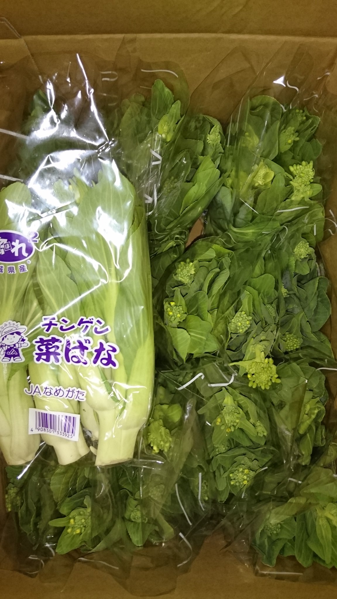 タカシ 八百森のエリーよろしく 茨城県産ｊａなめがた チンゲン菜ばな この時期限定のチンゲン菜の菜花 普通のチンゲン菜 と同様に調理します 花の所を上手く使うと食卓が華やかになります T Co F7onkbdgcp Twitter