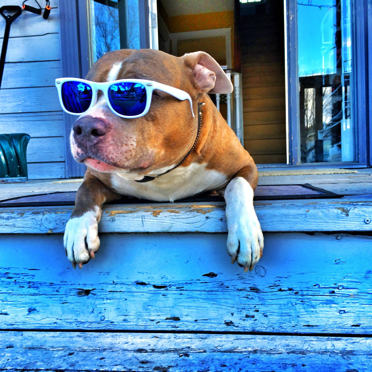 Caino Tha Dawg tweet media
