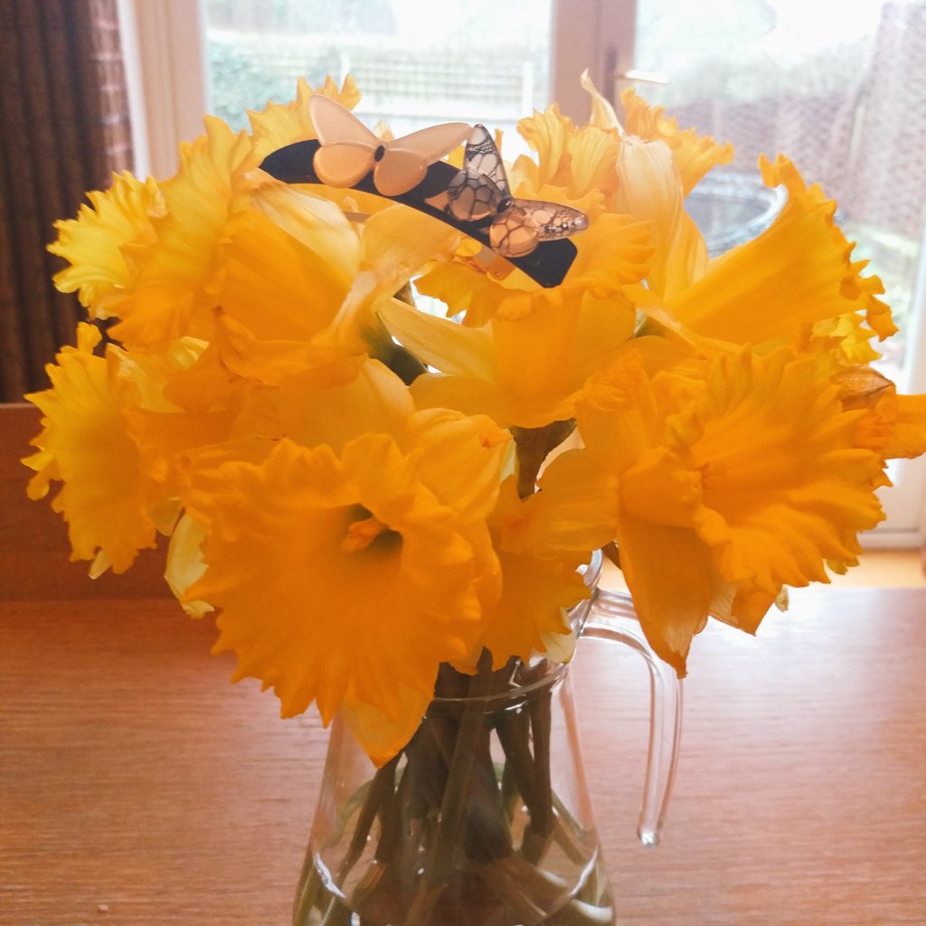 HairClipExpert's tweet photo. I feel a hint of springtime in the air... >>https://t.co/4bxPT32zU6 https://t.co/0KMqxAWVSO
