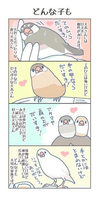 どんな子にも その子なりの愛情の示し方があると思うのです。 #buncho #文鳥 #javasparrow 