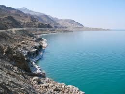 A_gui_la's tweet photo. "@CECHR_UoD: MT @eco_MENA #Halobacterium – A model of #life in #DeadSea https://t.co/NThDEPftjQ #biodiversity https://t.co/6tkkF1HTgc"