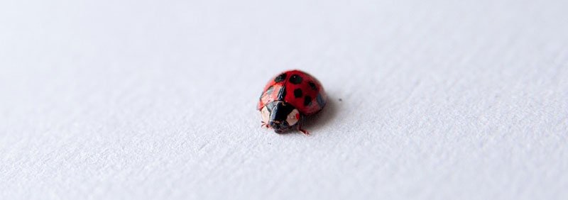 MarketIdeaADay's tweet photo. Small Business Marketing Ideas That Ensure Survival
https://t.co/QdyD7L2y42
#smallbizmarketing #smallbusiness https://t.co/4yf65hZABX