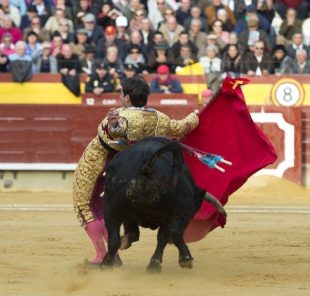 cultorocom's tweet photo. Vicente Soler: “La alternativa me la marco como la única carta que tengo sobre la mesa” https://t.co/cZugbF0www https://t.co/V3BZ3J8iGb