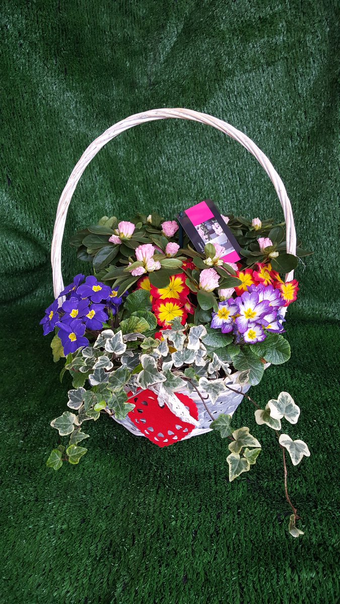 SBPlants's tweet photo. Mothers days basket made to order https://t.co/phHaVdWOzg