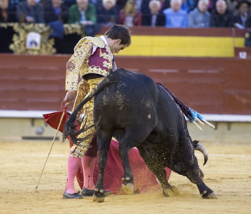 cultorocom's tweet photo. Soler: "Llego muy hecho y listo para dar el callo, para anunciarme al nivel de las figuras" https://t.co/cZugbF0www https://t.co/Q3WYsay7UW