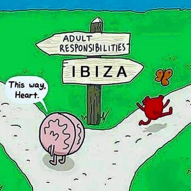 IbizaShitParty's tweet photo. This is everyone right about now https://t.co/ktGzNp3fcm