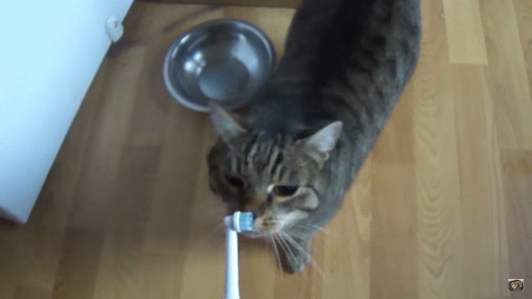Test_Tube_Tweet tweet picture