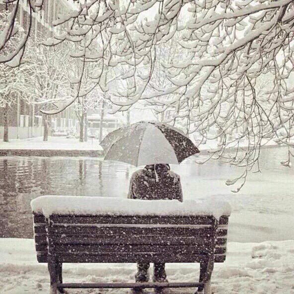cc55c_5's tweet photo. “ ليست كل المشاعر تحتاج إلي حبيب
بعض المشاعر تحتاج إلي رفيق لا يخذل
صديق لا يوجع .. روح تظل معك ولا تمل منك !! https://t.co/ZJpxOUdSEC