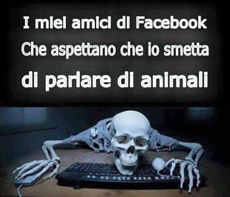 francibrambilla's tweet photo. 👌🏻 https://t.co/hi5M3y1DbK