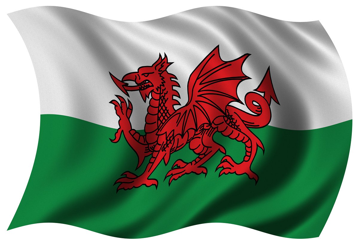 WilstonTC's tweet photo. Dydd Gŵyl Dewi Hapus ~ Happy St David's Day to all of our followers!! https://t.co/n8zPnhtW8m