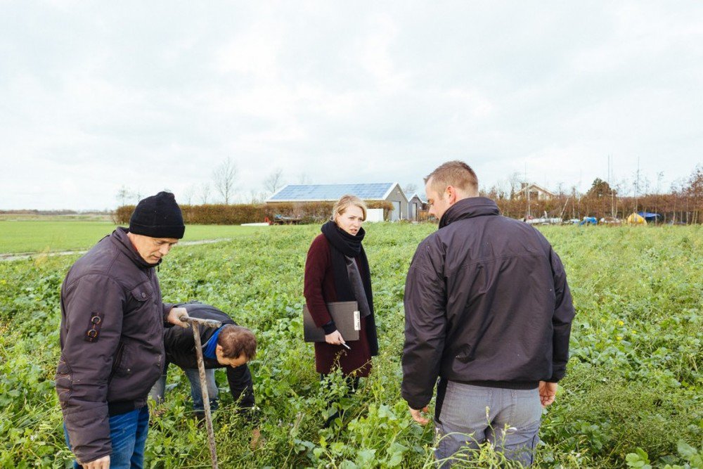 Tot op de bodem: boeren met verzilting #Zeekraal @AgrimeetsDesign #totopdebodem naturemeetsdesign.nl/veldverslag-ze… @AlterraWUR