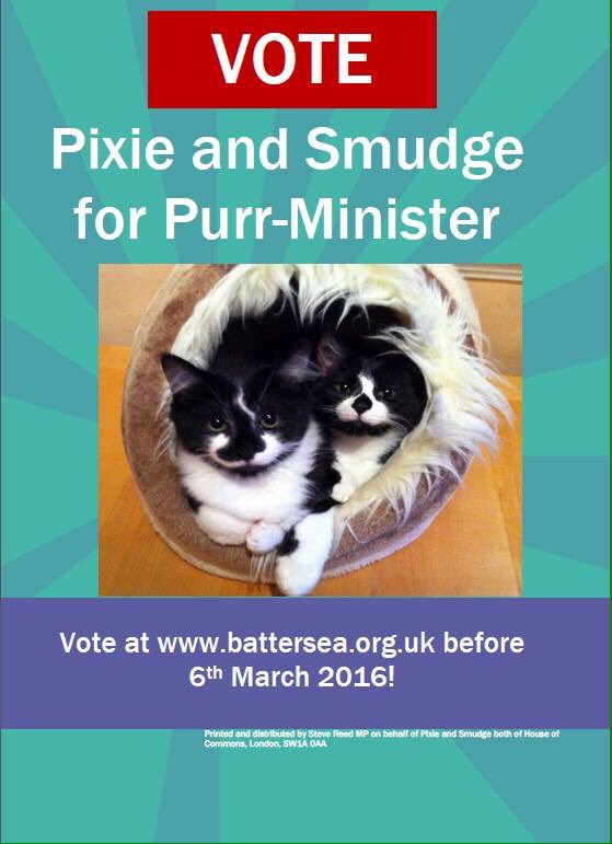 SteveReedMP's tweet photo. @Alice_Smart as a 'big fan of cats and campaigning' this might appeal to you! #VotePixie&Smudge https://t.co/rT3XRXLl2a