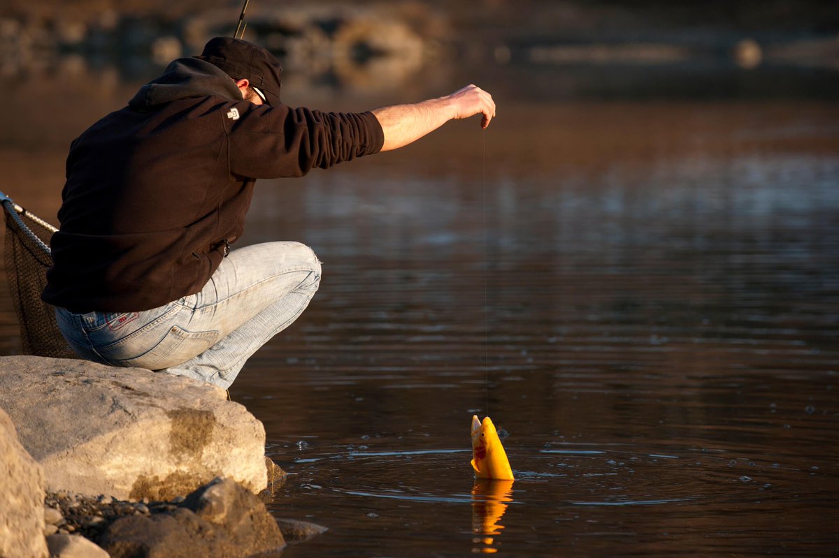 Fédération Nationale de la Pêche en France tweet media