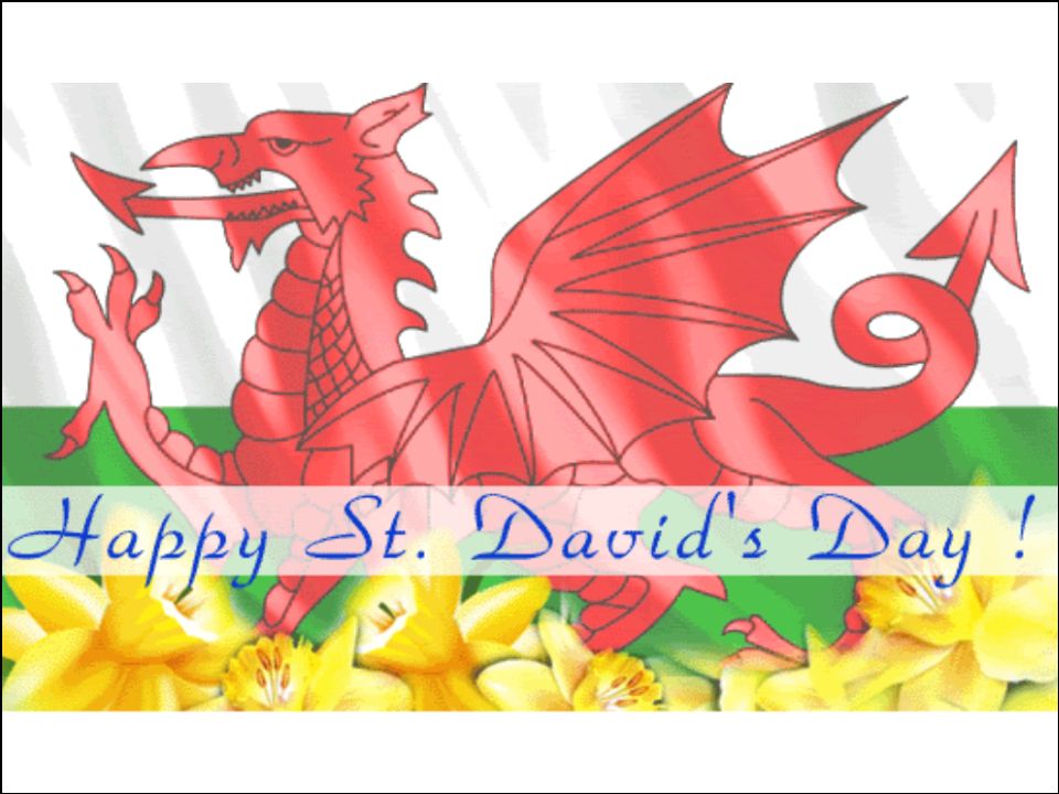 ArrowsSupplies's tweet photo. Happy St David's Day to everyone #StDavidsDay https://t.co/OQV2HvIC9M