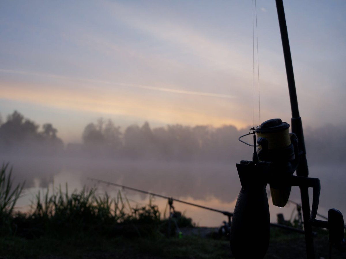 BaitsLive's tweet photo. What a morning :) . #Carp #Fishing            #CrazyShit https://t.co/NdYUnxEPLq