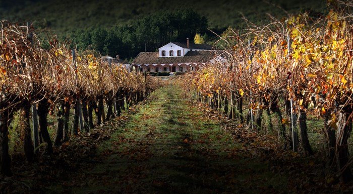 Caperuvinos's tweet photo. PAGO Dehesa del Carrizal, conoce el pago y sus vinos https://t.co/aUeGVGXAg0 @DehesaCarrizal @cuencanews @Uwiner https://t.co/15YLJ8bDQN