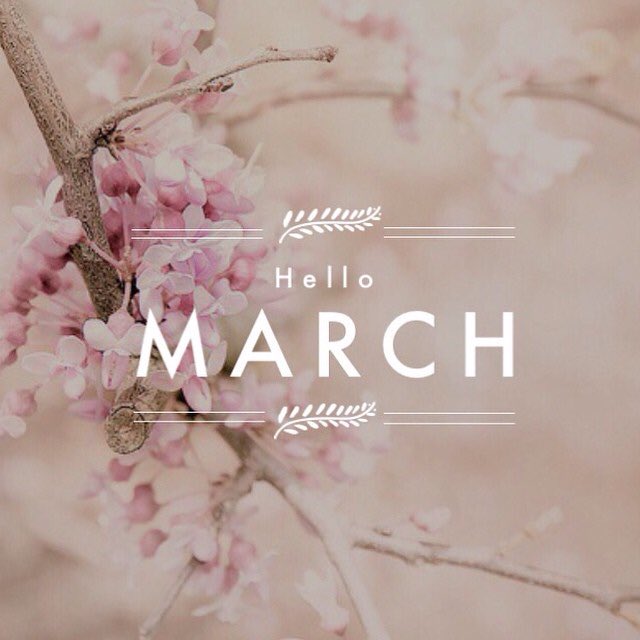 MaplesStamford's tweet photo. Hello March 🌺 https://t.co/z5NVJpsufI