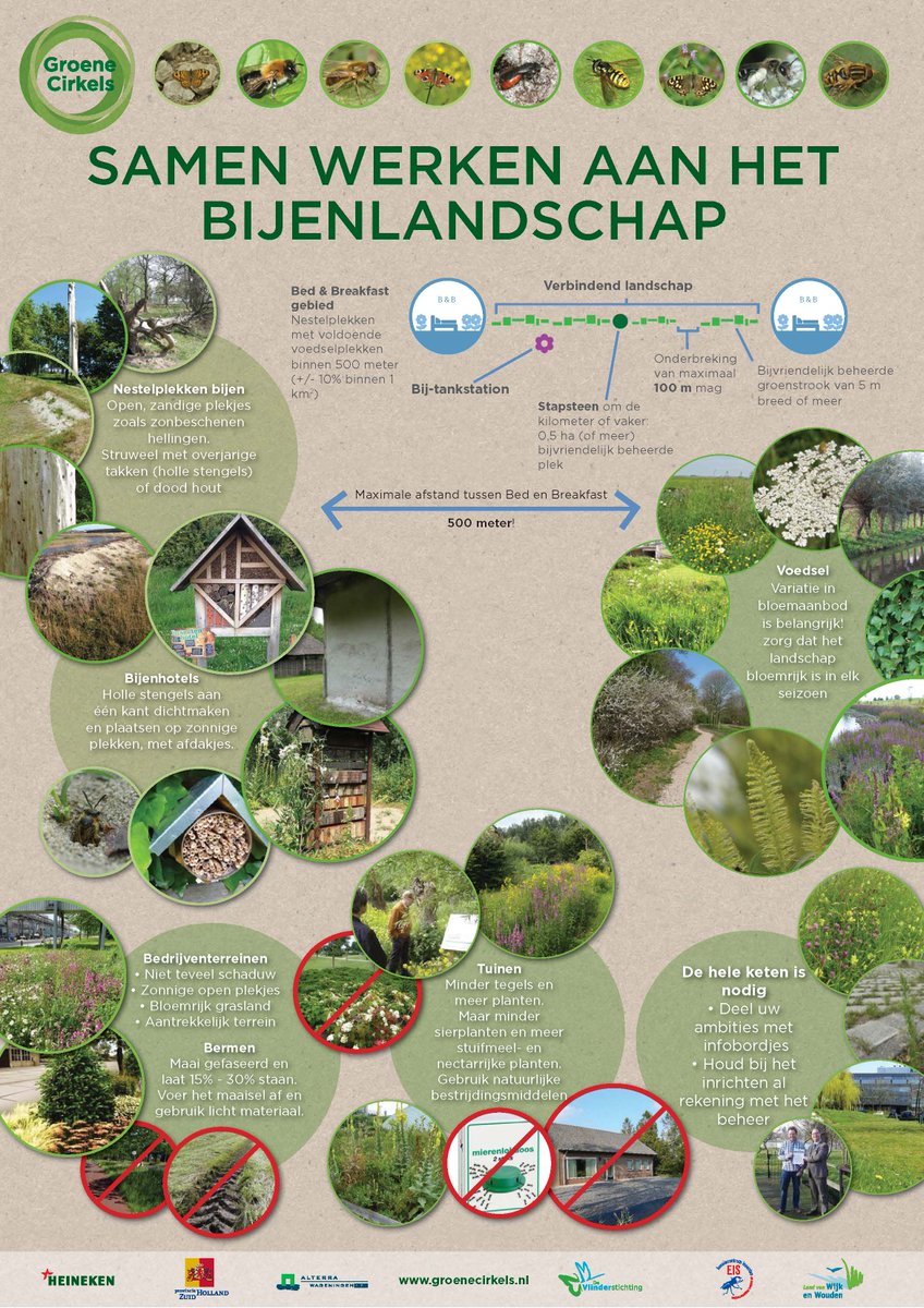 #bijenlandschap: versterking biodiversiteit en waterberging <a href="/GroeneCirkels/">Groene Cirkels</a> #bijen groenecirkels.nl/upload_mm/5/a/…