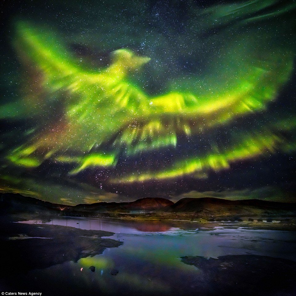 UberFacts's tweet photo. Earlier last week the Northern lights seemed to take the shape of a Phoenix - The mythological fire eating bird. https://t.co/kLwvOvIrKJ