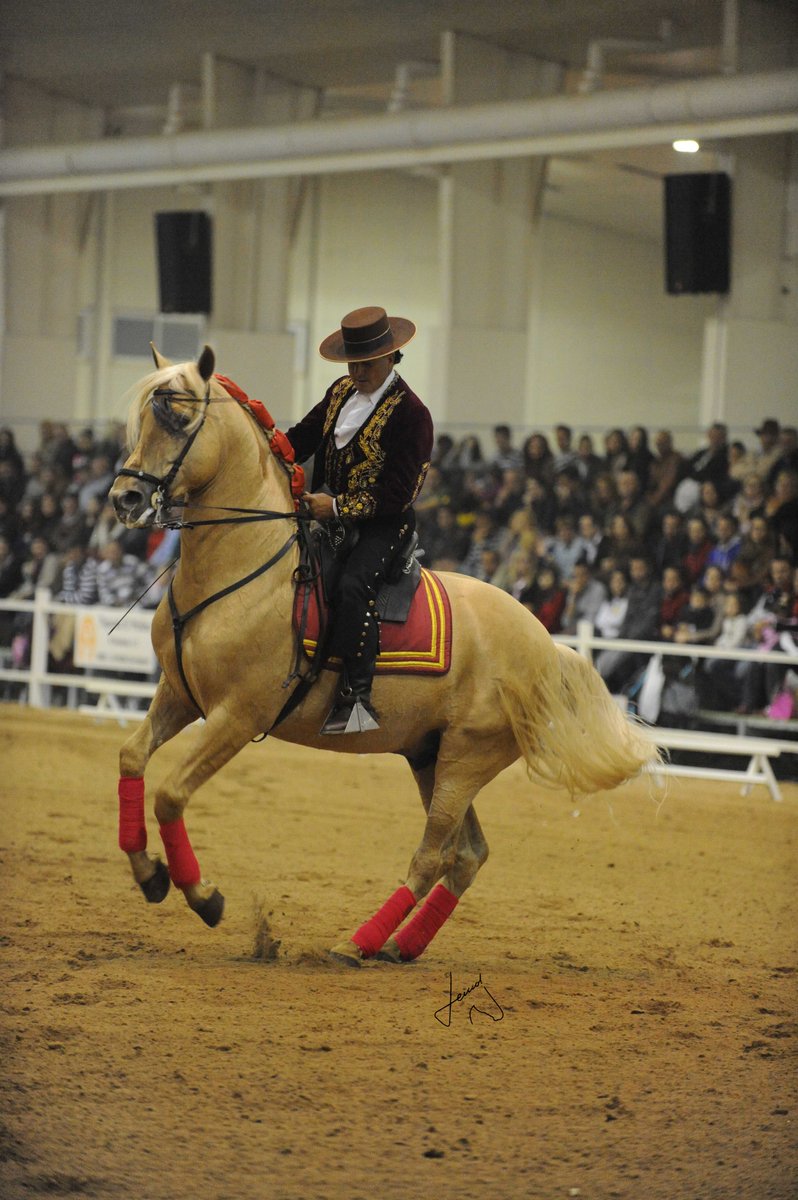 IfepaMurcia's tweet image. Os dejamos la programación y actividades de la feria EQUIMUR 2016 de #Ifepa

➡ goo.gl/E3szjr