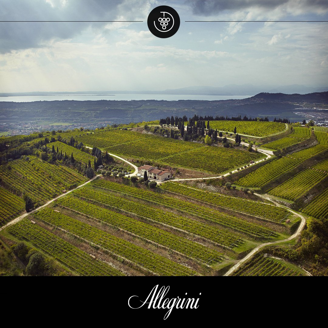 AllegriniWinery's tweet photo. Tutto, ma proprio tutto, sul nostro #vigneto #Grola, in #Valpolicella https://t.co/mHOuJkhsYb #CorvinaVeronese https://t.co/gzKUyTEPKz