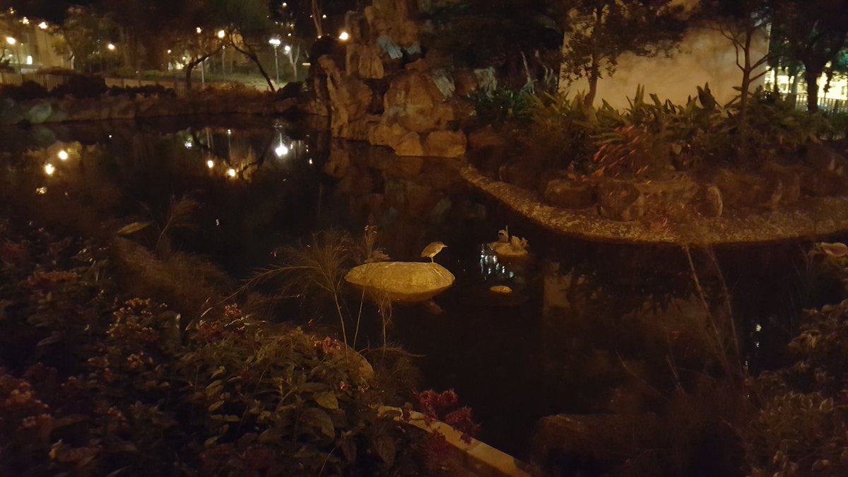 cryptsetup's tweet image. lonely