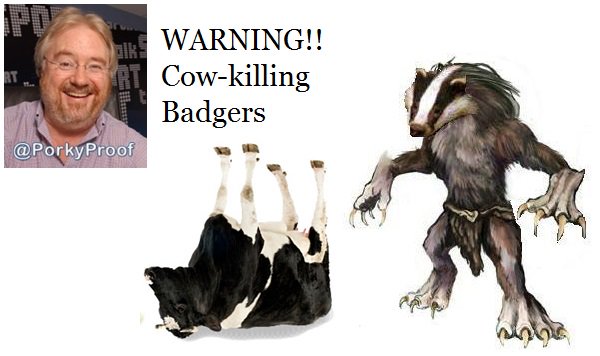 PorkyProof's tweet photo. FACT - cow killing badgers are rampant across the UK.  @mikeparry8 right to highlight the issue. @TheTwoMikes https://t.co/vm3mWdFdMD
