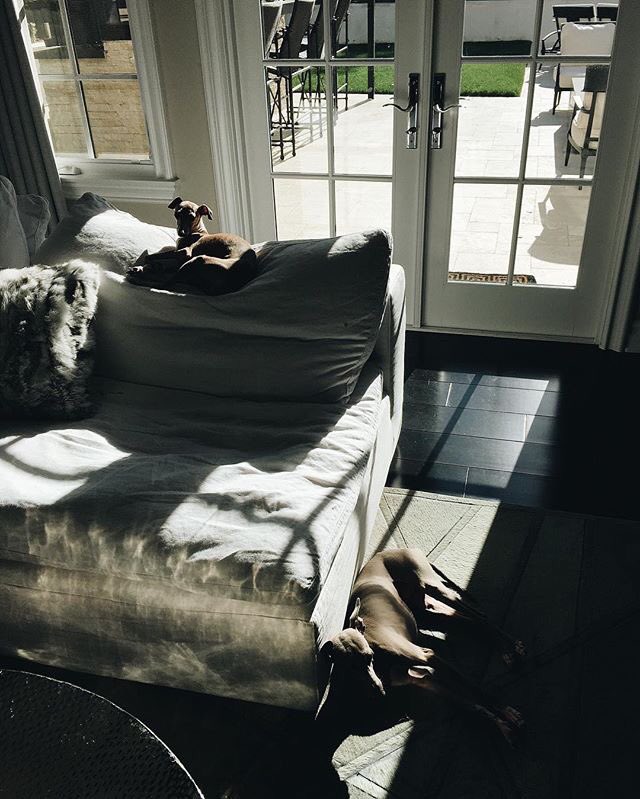 EveryJenners's tweet photo. Kylie: “@victoriavillarroel sent me this from back home.. My babieeess” https://t.co/0x0gWAmgdx